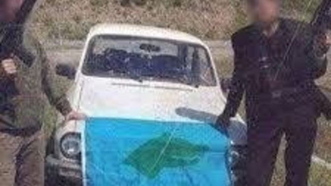 Sokakta kekoları avlayan bir tim kurulsa katılır mıydınız?