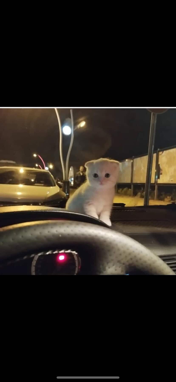 Hadi beni uyku tutmadı, siz niye uyumadınız?