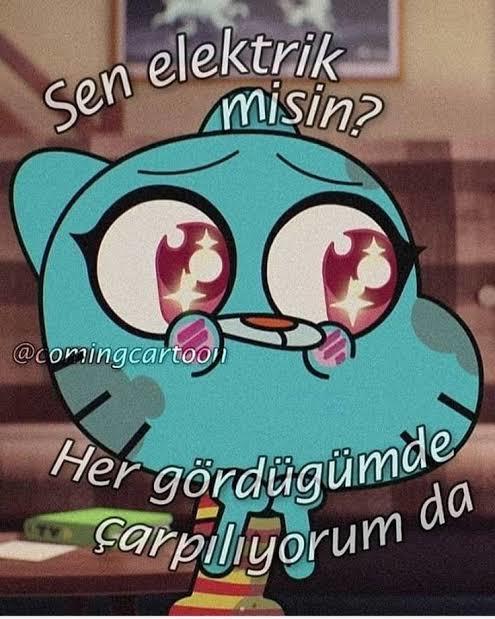 En fazla iltifat aldığınız bölgeniz hangisi?