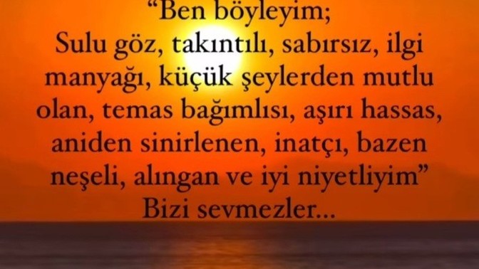 Siz nasıl birisinizdir?