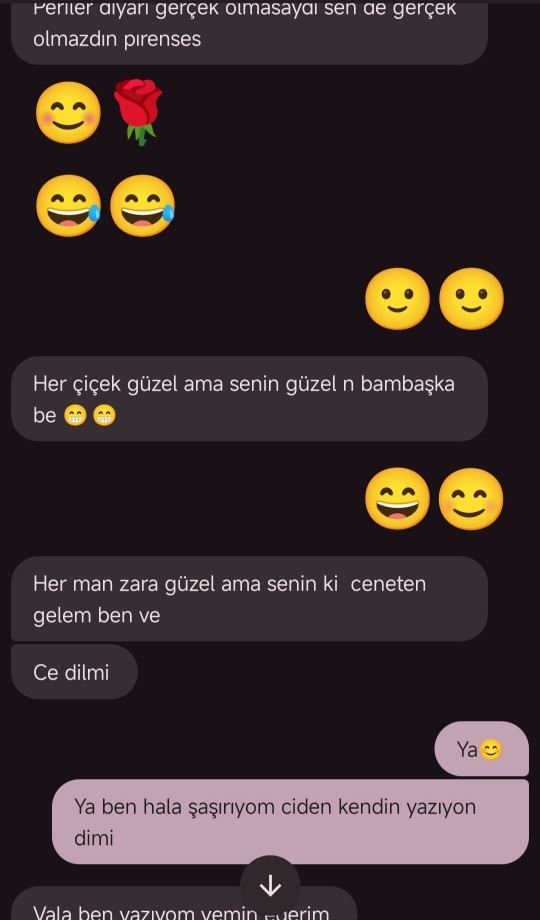 Sizce bu mesajlar hoşlanan birinin mesajları mı?