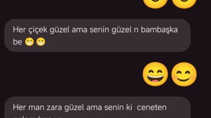 Sizce bu mesajlar hoşlanan birinin mesajları mı?