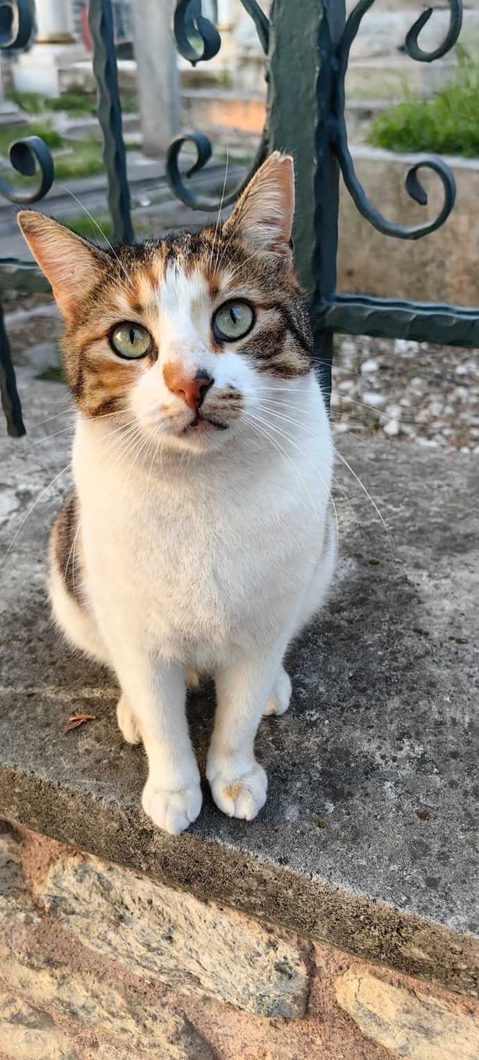 Çok tatlı değil miii?