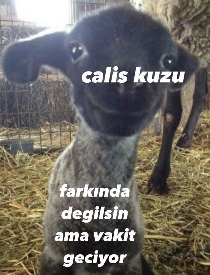 Bir şeyi yapmak zorunda olduğunuzda ama canınız istemediğinde nasıl motive oluyorsunuz?