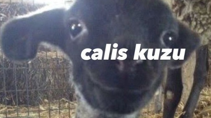 Bir şeyi yapmak zorunda olduğunuzda ama canınız istemediğinde nasıl motive oluyorsunuz?