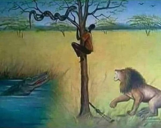 Ağaçtaki insanın yerinde siz olsanız ne yapardınız?