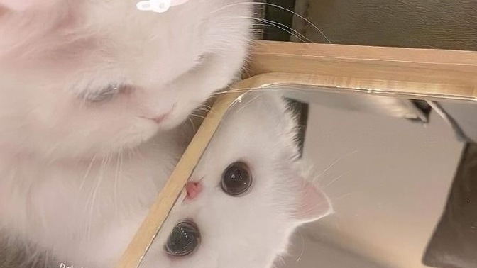 Önceliği olmadığınız birini önceliğiniz yaptınız mı?
