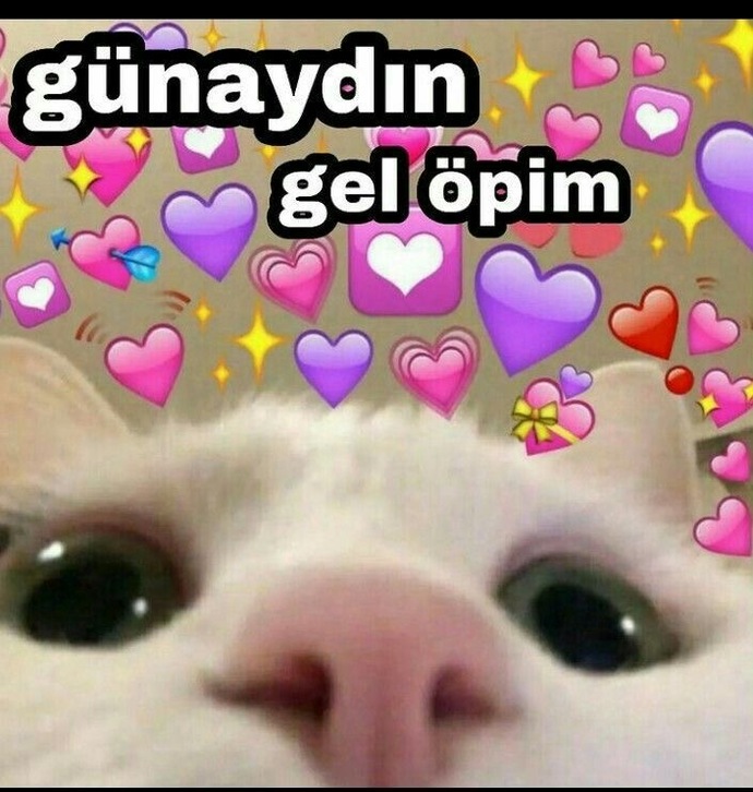 Beni sabahın köründe uyandıran hayat, size ne yapmaz ki?