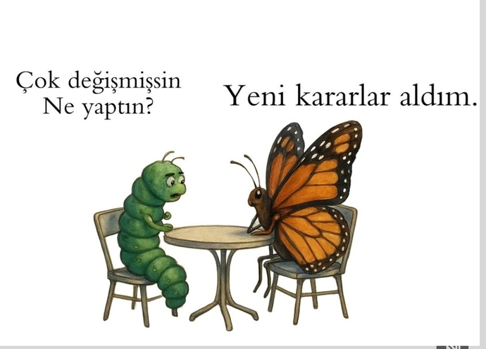 Çok güzel kararlar aldım 🦋