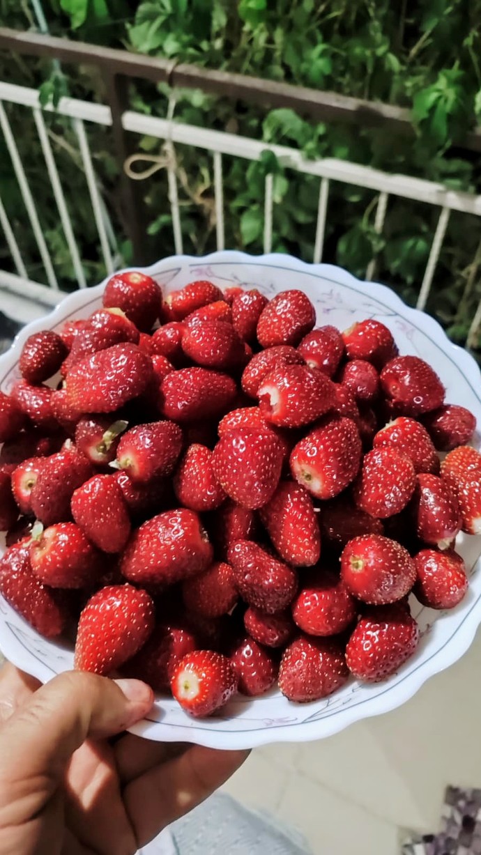 Bu mevsim en sevdiğiniz meyve hangisi?