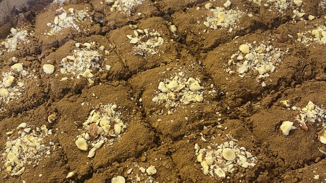 Soğuk baklava yaptım sizce nasıl oldu?