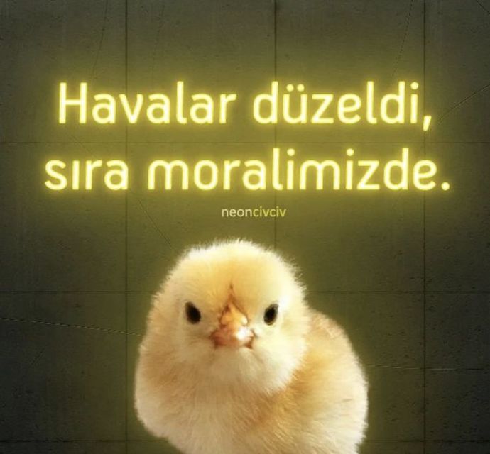 Havalar mı daha bozuk moraliniz mi daha bozuk?