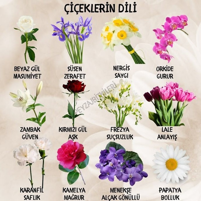 Çiçeklerin 🌸 dili olsaydi sen hangi çiçek olurdun?