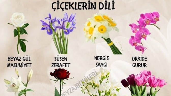 Çiçeklerin 🌸 dili olsaydi sen hangi çiçek olurdun?