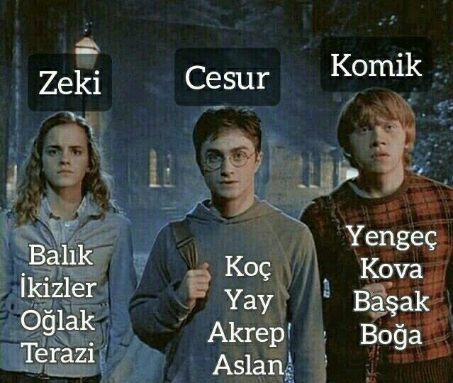 Burcuna göre hangi harry potter karakterisin?