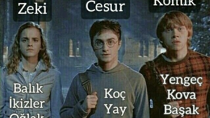 Burcuna göre hangi harry potter karakterisin?