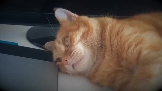 Güvendiğin için mi kaybedersin, yoksa şüphe ettiğin için mi?