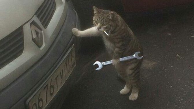 Eniştenize açılmaya karar verdim, sizce nasıl bir mesaj yazsam?