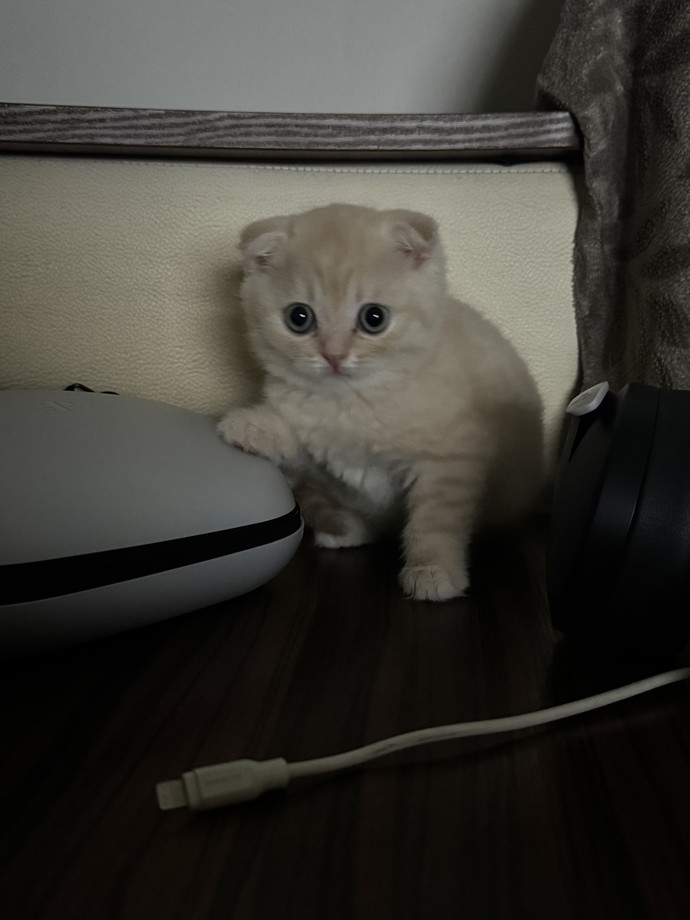 Bunu yesem bişey olur mu?