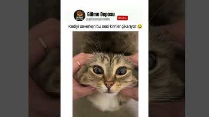 Hayvanlari sevme sekliniz nasilll?