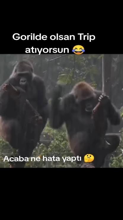 Bu doğrumu her canlıda kadın kadındır mi?