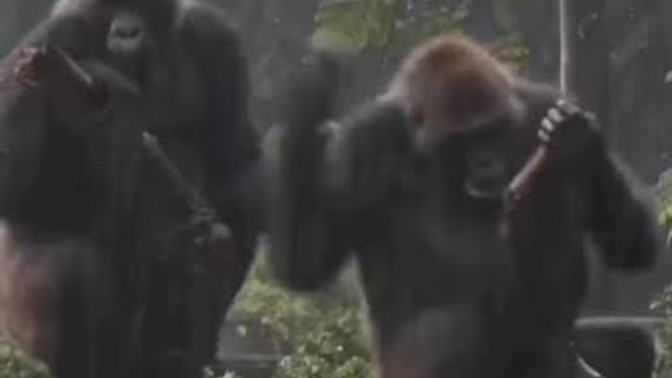 Bu doğrumu her canlıda kadın kadındır mi?