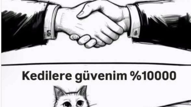 Kedilere güveniniz yüzde kaç?