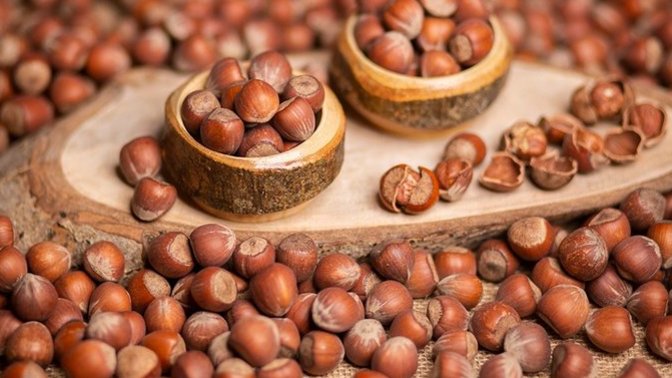 Fındık Fiyatları Uçtu: Çiftçi Kazançta mı, Yoksa Zarar mı Ediyor?