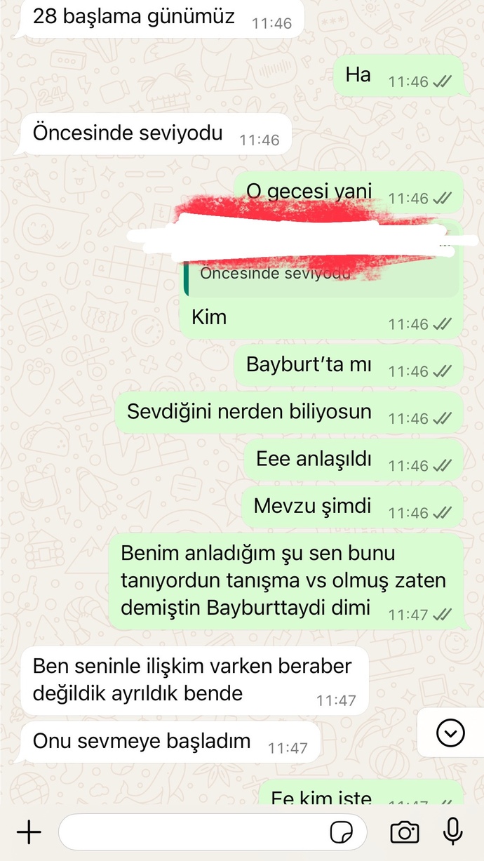 Eski sevgilim ayrılır ayrılmaz sevgili yaptı?