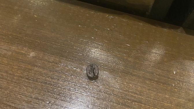 Birisi kahve çekirdeğini düşürmüş. Kimin bu?