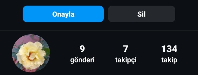 Sizce bu hesap fake mi , 2023 den beridir açıkmış ve 7 kere ismini değiştirmiş?