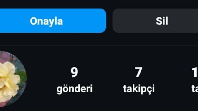 Sizce bu hesap fake mi , 2023 den beridir açıkmış ve 7 kere ismini değiştirmiş?