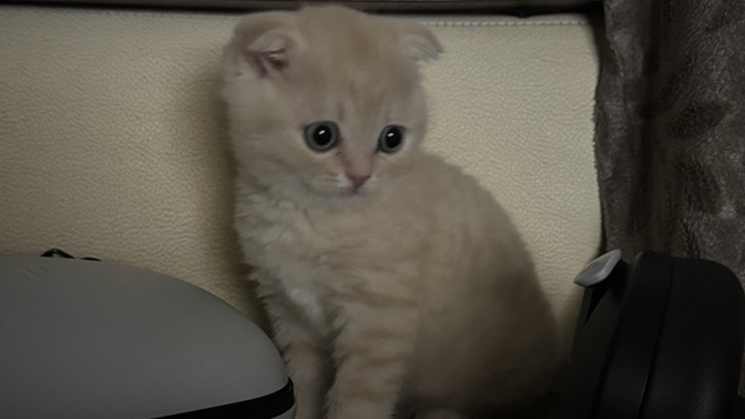Böyle bişey yediniz mi hiç?