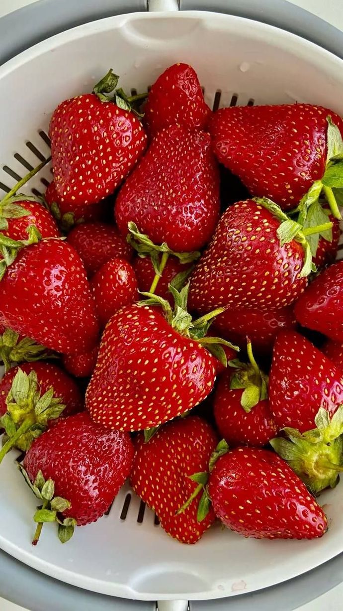 Erik mi, çilek mi? Hangisini favoriniz olarak tercih edersiniz?