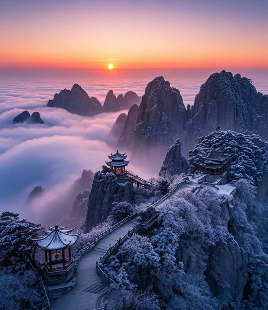 Hangi burç uzak doğu tapınağında meditasyon yapan bir keşiş olmak isterdi?