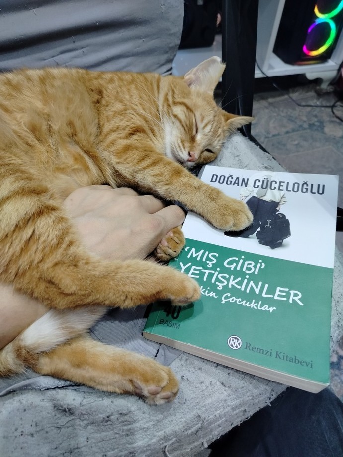 Nasılsınız, napıyorsunuz?