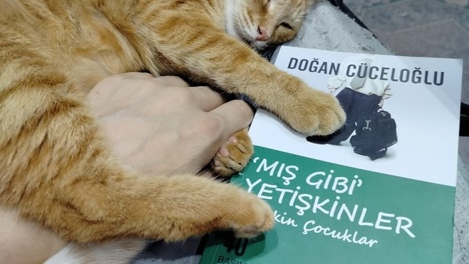 Nasılsınız, n'apıyorsunuz?