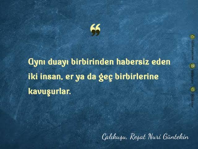 Başkasının önerdiği kitabı mı alırsın, yoksa kapağına mı bakarsın?