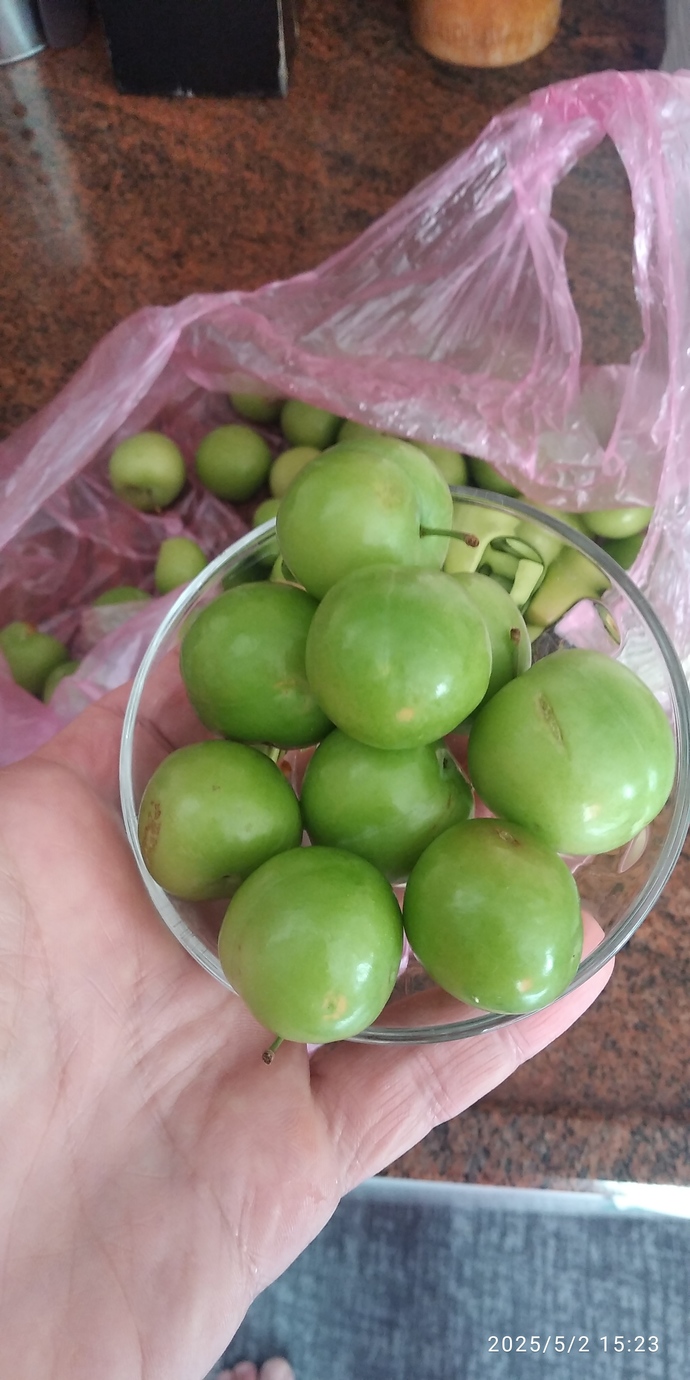 Erik yâda çağla gönderen var mı?