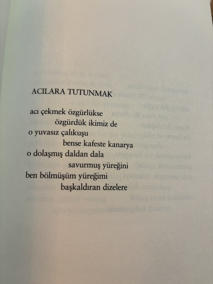 Hadi herkes şiirden bestelenen bir şarkı paylaşsın?