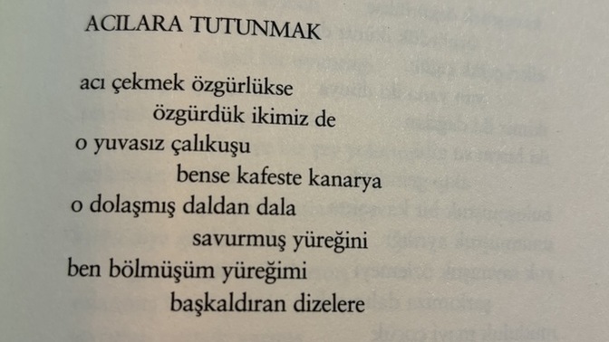 Hadi herkes şiirden bestelenen bir şarkı paylaşsın?