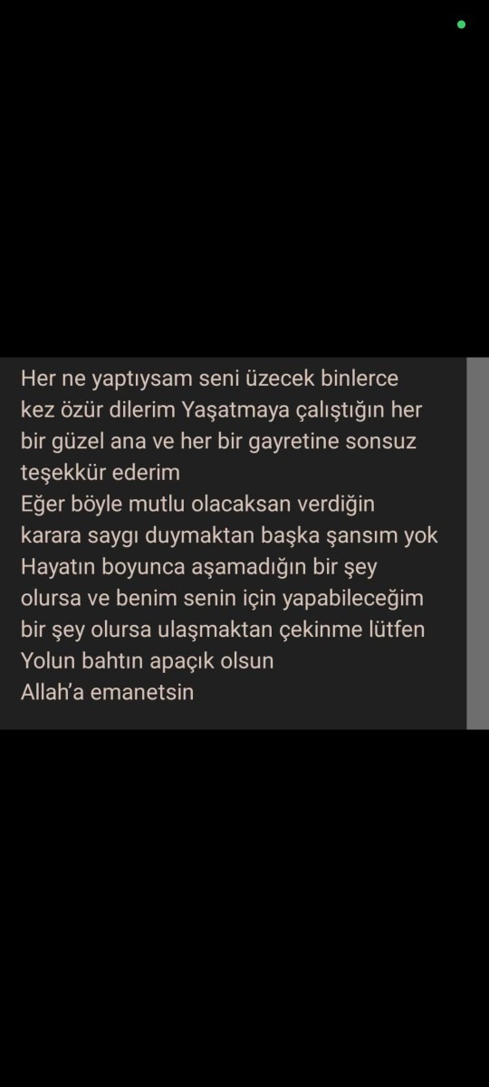 Ayrılık sonrası bu mesajı attı, pişman mı yoksa ayrılığı kabullenmiş mi?
