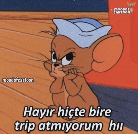 Trip atılmalı mı atılmamalı mı?