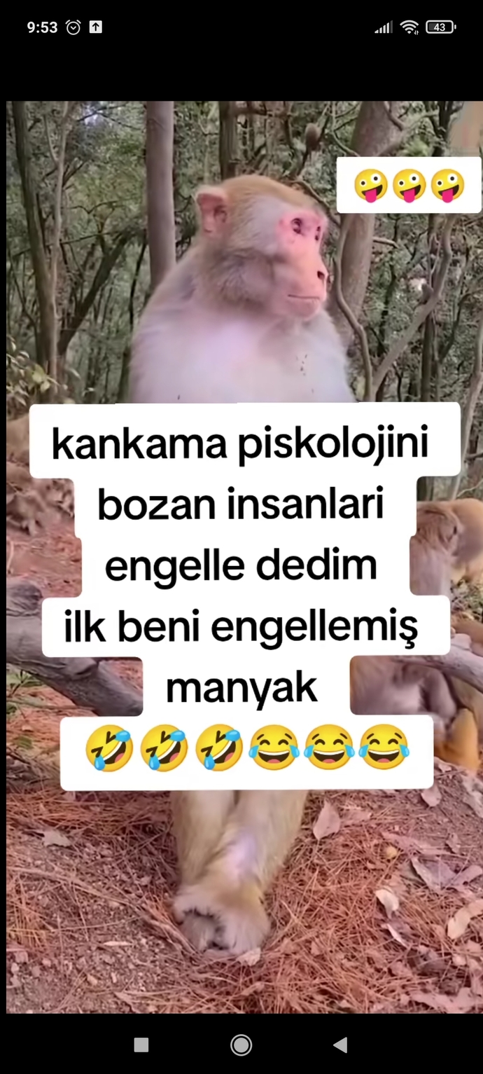 Psikolojinizi bozanları engeller misiniz?