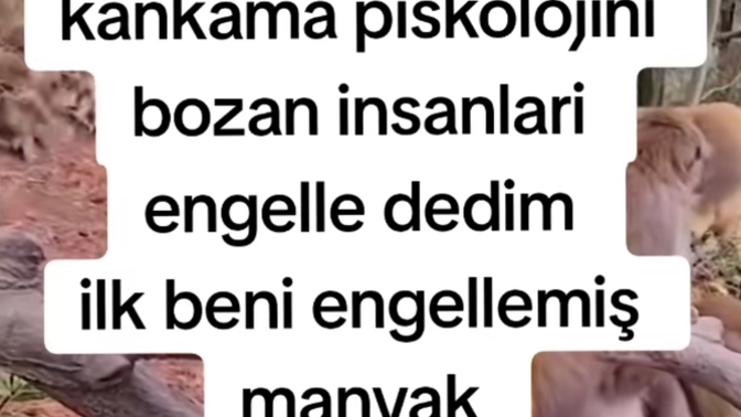 Psikolojinizi bozanları engeller misiniz?