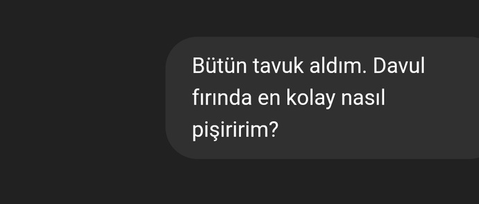 Yapay zekâya en son ne sordunuz? Veya hangi konuda danıştınız?
