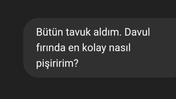 Yapay zekâya en son ne sordunuz? Veya hangi konuda danıştınız?