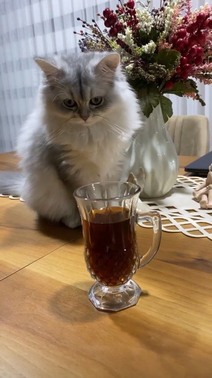 Çaysız gününüz olur mu?