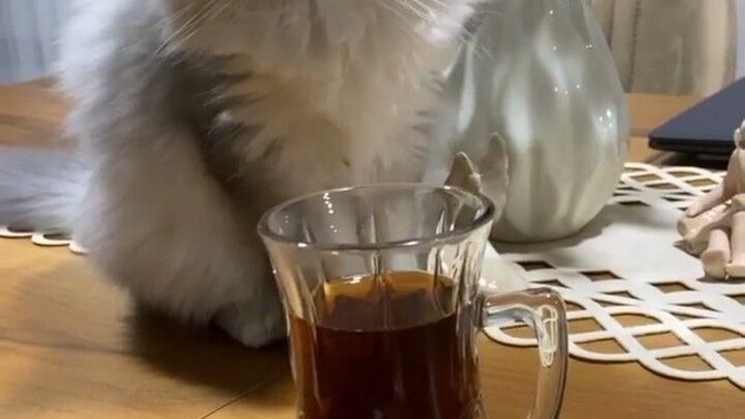 Çaysız gününüz olur mu?