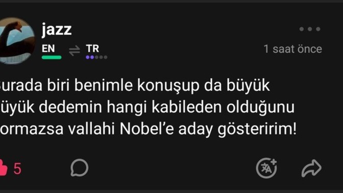Kullandığınız yabancı dil uygulaması var mı?